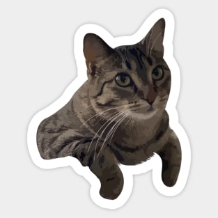 cute cat sitting relaxed Sticker